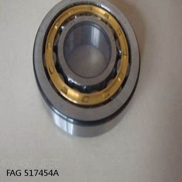 517454A FAG Cylindrical Roller Bearings