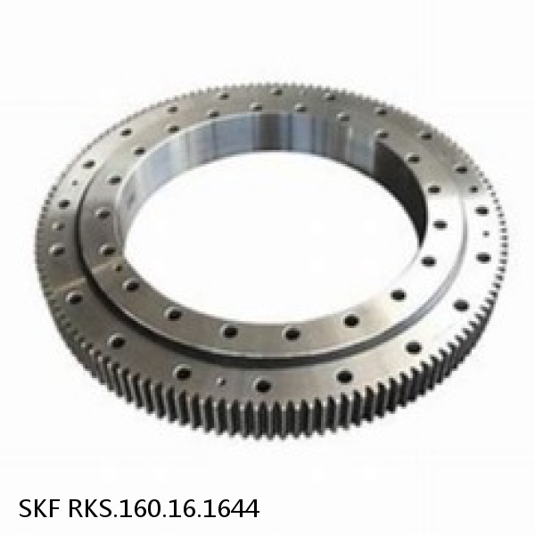 RKS.160.16.1644 SKF Slewing Ring Bearings #1 small image