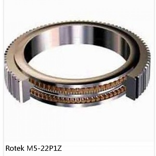 M5-22P1Z Rotek Slewing Ring Bearings #1 small image