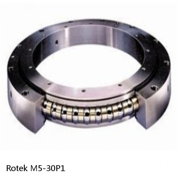 M5-30P1 Rotek Slewing Ring Bearings #1 small image