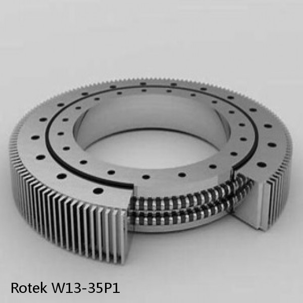 W13-35P1 Rotek Slewing Ring Bearings #1 small image