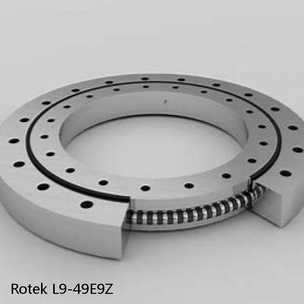 L9-49E9Z Rotek Slewing Ring Bearings #1 small image