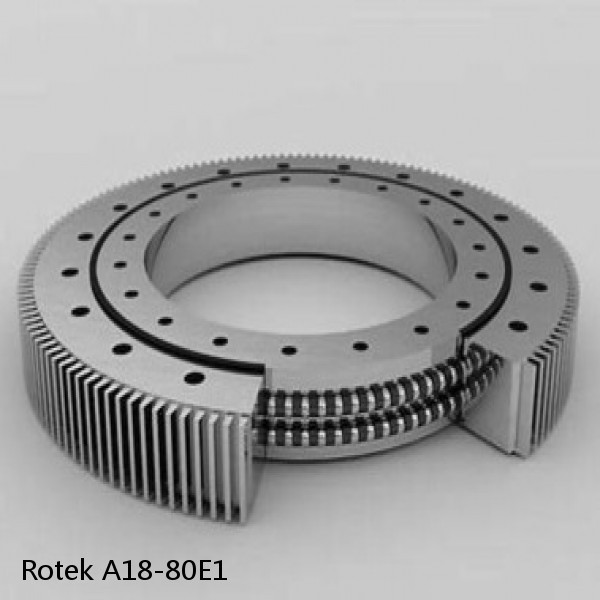 A18-80E1 Rotek Slewing Ring Bearings