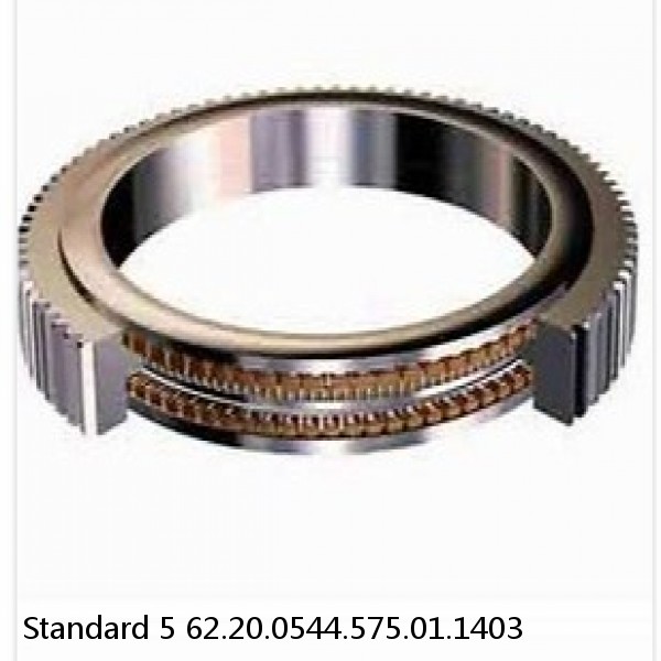 62.20.0544.575.01.1403 Standard 5 Slewing Ring Bearings #1 small image