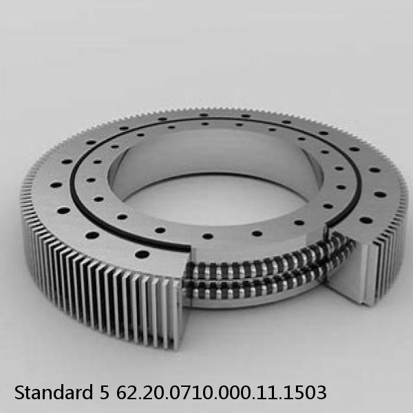 62.20.0710.000.11.1503 Standard 5 Slewing Ring Bearings #1 small image