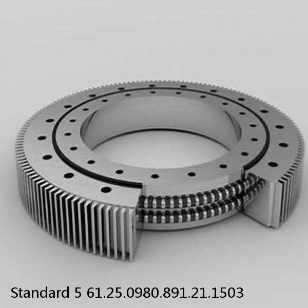 61.25.0980.891.21.1503 Standard 5 Slewing Ring Bearings #1 small image