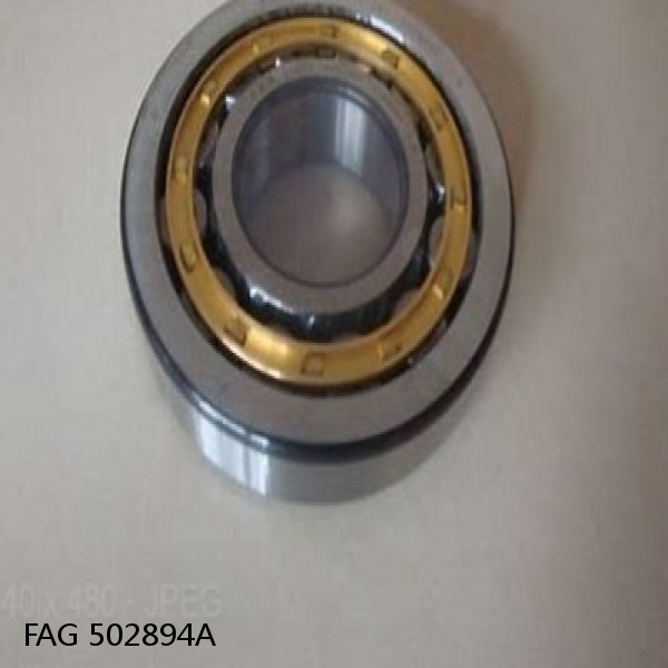 502894A FAG Cylindrical Roller Bearings