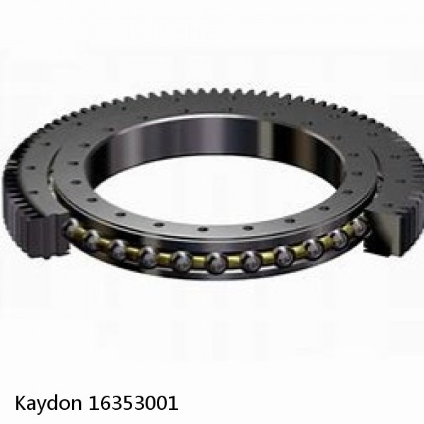 16353001 Kaydon Slewing Ring Bearings #1 image