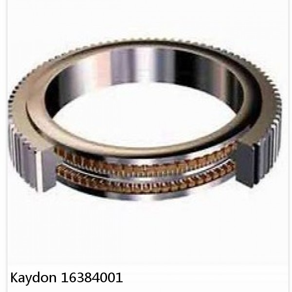 16384001 Kaydon Slewing Ring Bearings #1 image