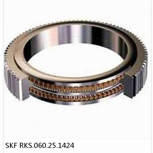 RKS.060.25.1424 SKF Slewing Ring Bearings #1 image