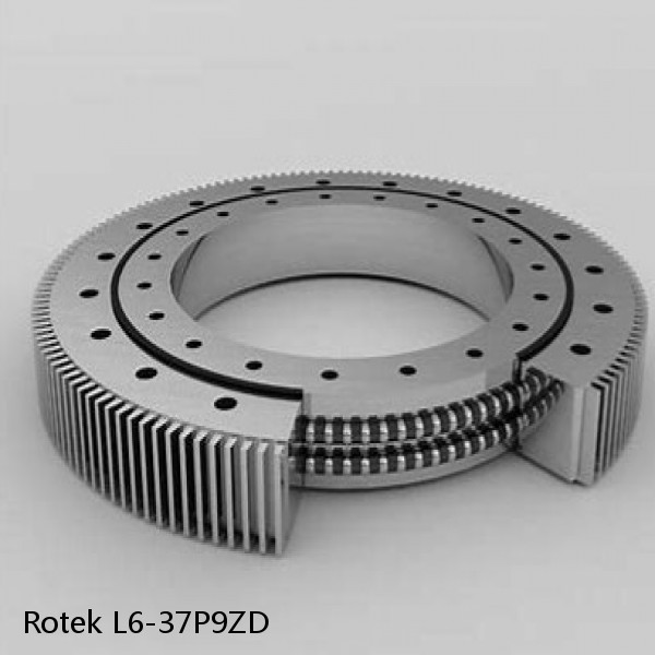 L6-37P9ZD Rotek Slewing Ring Bearings #1 image