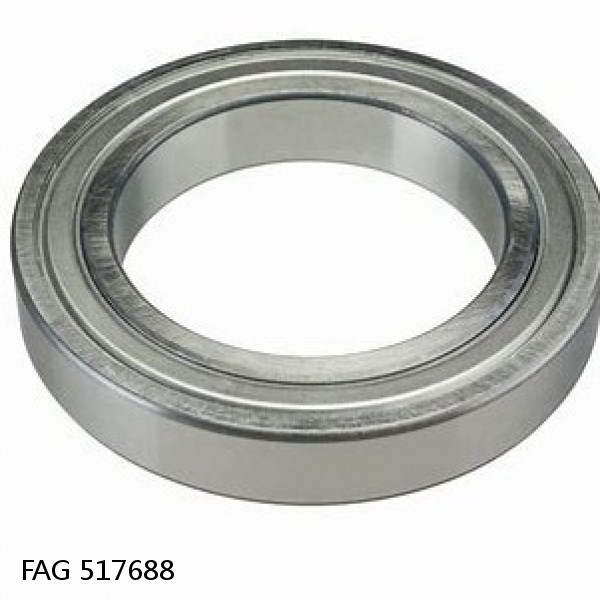 517688 FAG Cylindrical Roller Bearings #1 image