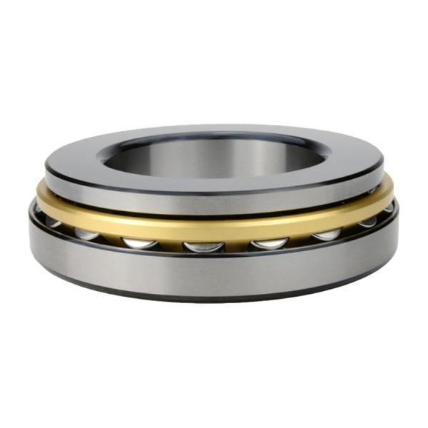 1.378 Inch | 35 Millimeter x 2.186 Inch | 55.52 Millimeter x 1.417 Inch | 36 Millimeter  INA RSL185007  Cylindrical Roller Bearings #1 image