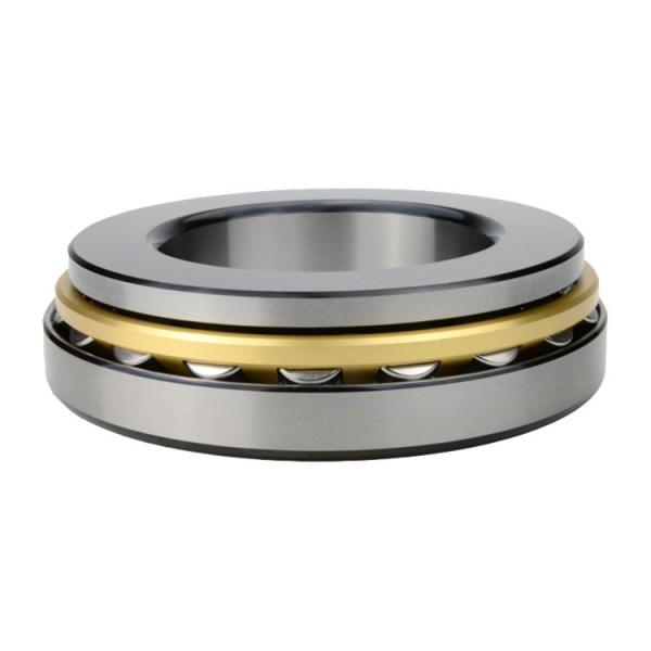 3.15 Inch | 80 Millimeter x 6.693 Inch | 170 Millimeter x 2.283 Inch | 58 Millimeter  NSK NU2316W  Cylindrical Roller Bearings #3 image