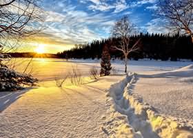 MoMo美女写真两套合集下载2.39GB