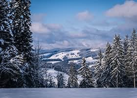 萌量守恒写真合集18套788P下载3.56GB