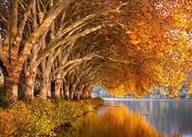 沖田凛花Rinka写真160套合集下载 30GB