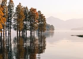 MoMo美女写真两套合集下载2.39GB