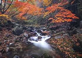 台北娜娜nana_taipei 4K高清写真资源合集 721GB 持续更新