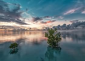 台北娜娜nana_taipei 4K高清写真资源合集 721GB 持续更新